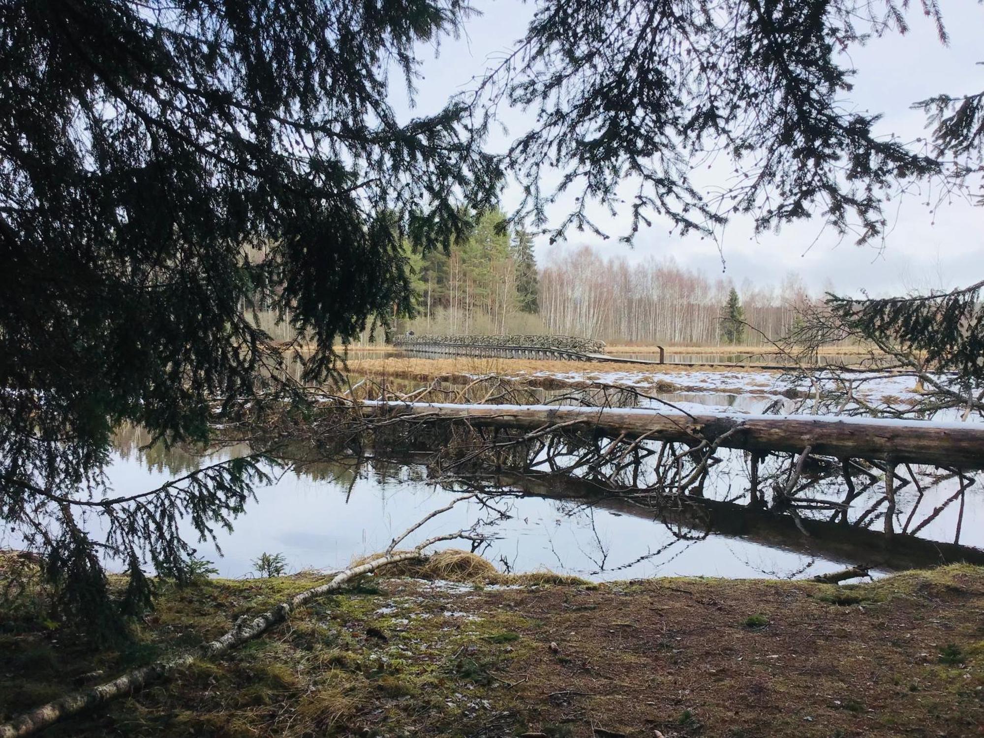 Apartmany A&Z Hořice na Šumavě Zimmer foto